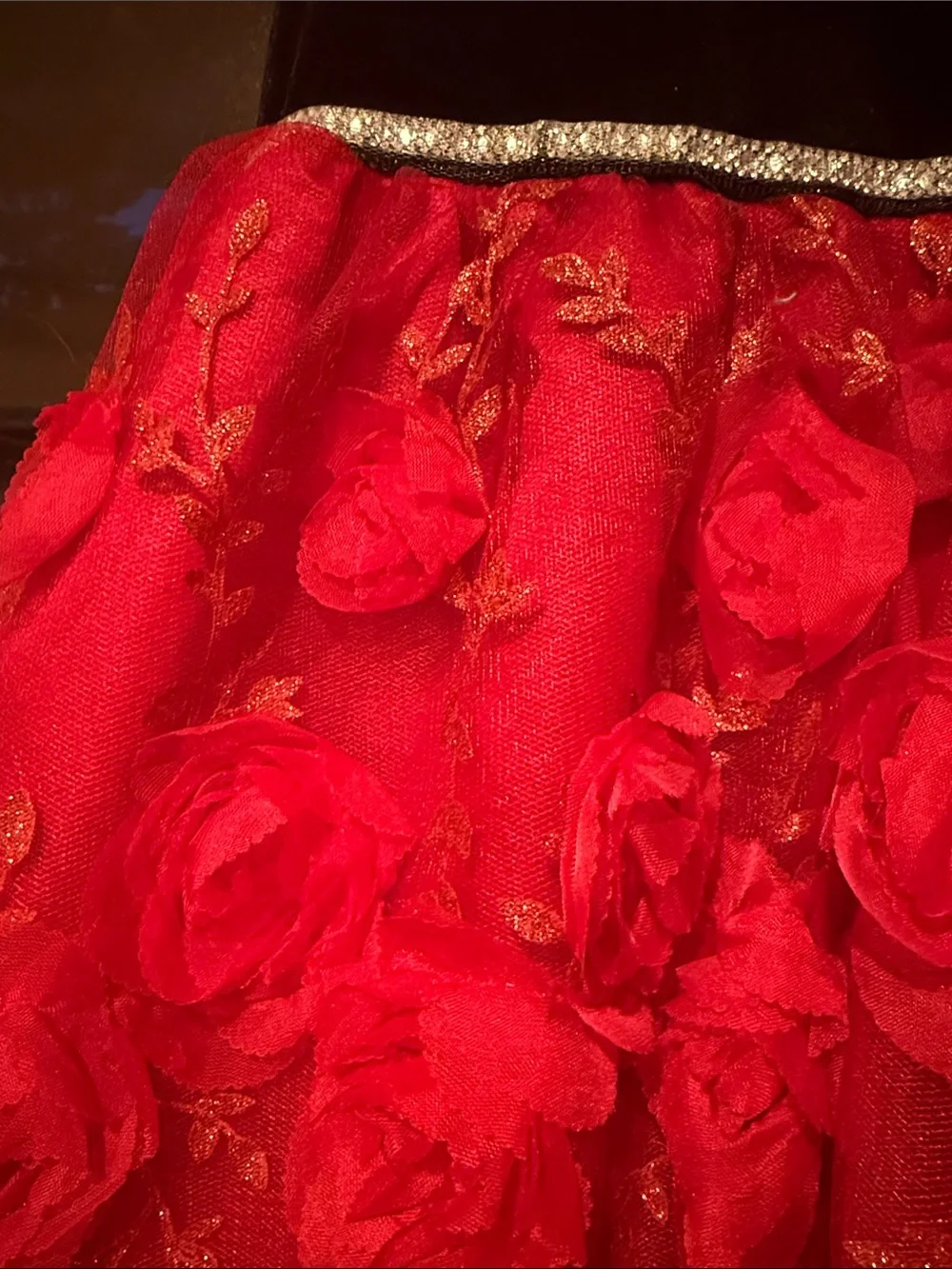 Girls Black Velvet Top Red Rose Skirt Holiday Dress 6X NWT